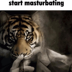 Sex Playlist