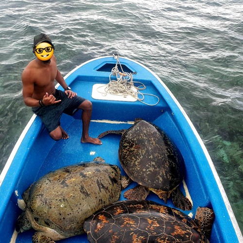 Cammy Bee - BOY BLO YU 🤜🤛 (2021)