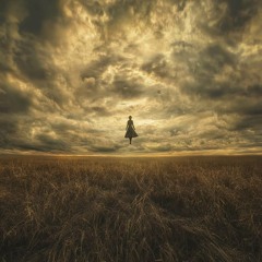 Fallow Fields forever