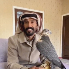 يا محبين القلايل