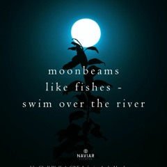 Moonbeams Like Fishes Swim Over The River (NaviarHaiku385)