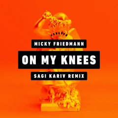 Micky Friedmann - On My Knees (Sagi Kariv Remix)