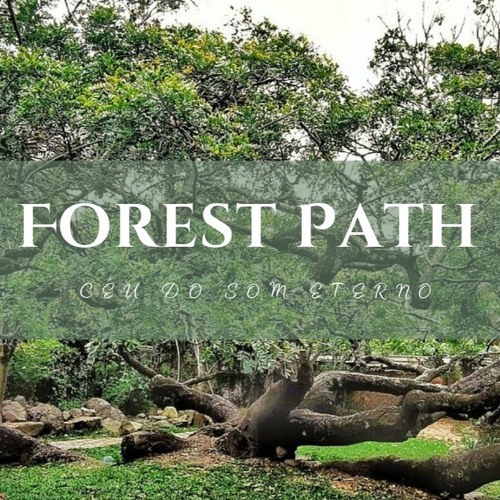 Familia | Forest Path #59