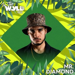 In The WYLD 002: Mr.Diamond (100% Own Productions)