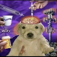 SCIORDA BARS FREESTYLE