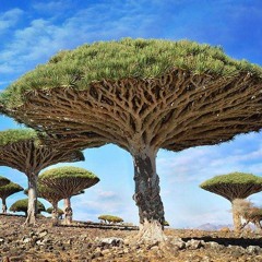 Long Ride(original Mix)