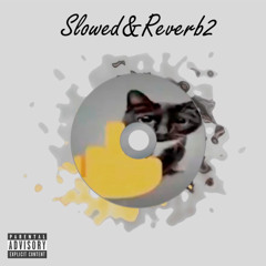 Slowed & Reverb MIX (Vol. 2)