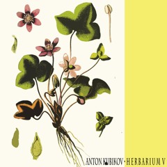 Anton Kubikov - Herbarium V Compilation Tracks Preview