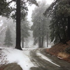 Akimboangels- Nowadays (nlia) (@bl4nk.radio)