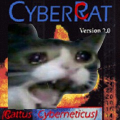 Cyber Cat