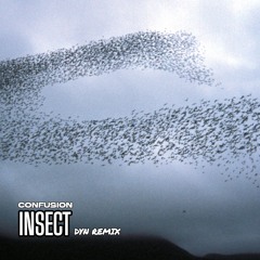 Confusion - Insect (Dyn Remix)