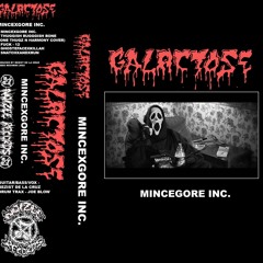 GALACTOSE - MINCEGORE INC. (NOIZEE RECORDS FULL EP 2022)