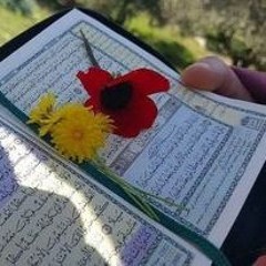 شفاء لروحي و حبلي المتين ورحمة قلبي و حصني الحصين