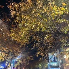 黃昏 황혼 - 해가 지고 어스름한 빛