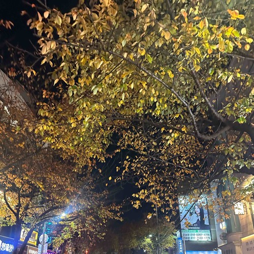 黃昏 황혼 - 해가 지고 어스름한 빛