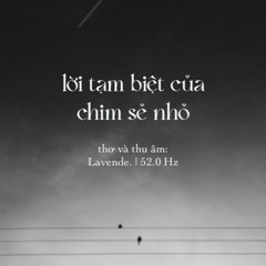 Lời tạm biệt của chim sẻ nhỏ - Lavende.