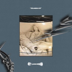 9. Wet Lamborghini     𝕿9 ー ℑ𝔡𝔶𝔞𝔩 𝔖𝔱𝔯𝔦𝔭𝔰