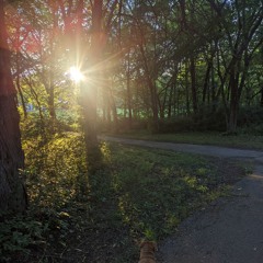 Sunshine (Prod. Estepax) Lifted (Freestyle Friday 5/24/24)(Edited)