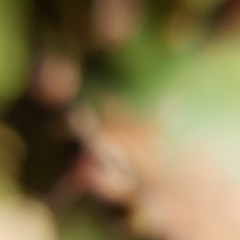 ToolsQ