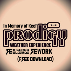 The Prodigy - Weather Experience (Ricardo Elgardo ReWork)