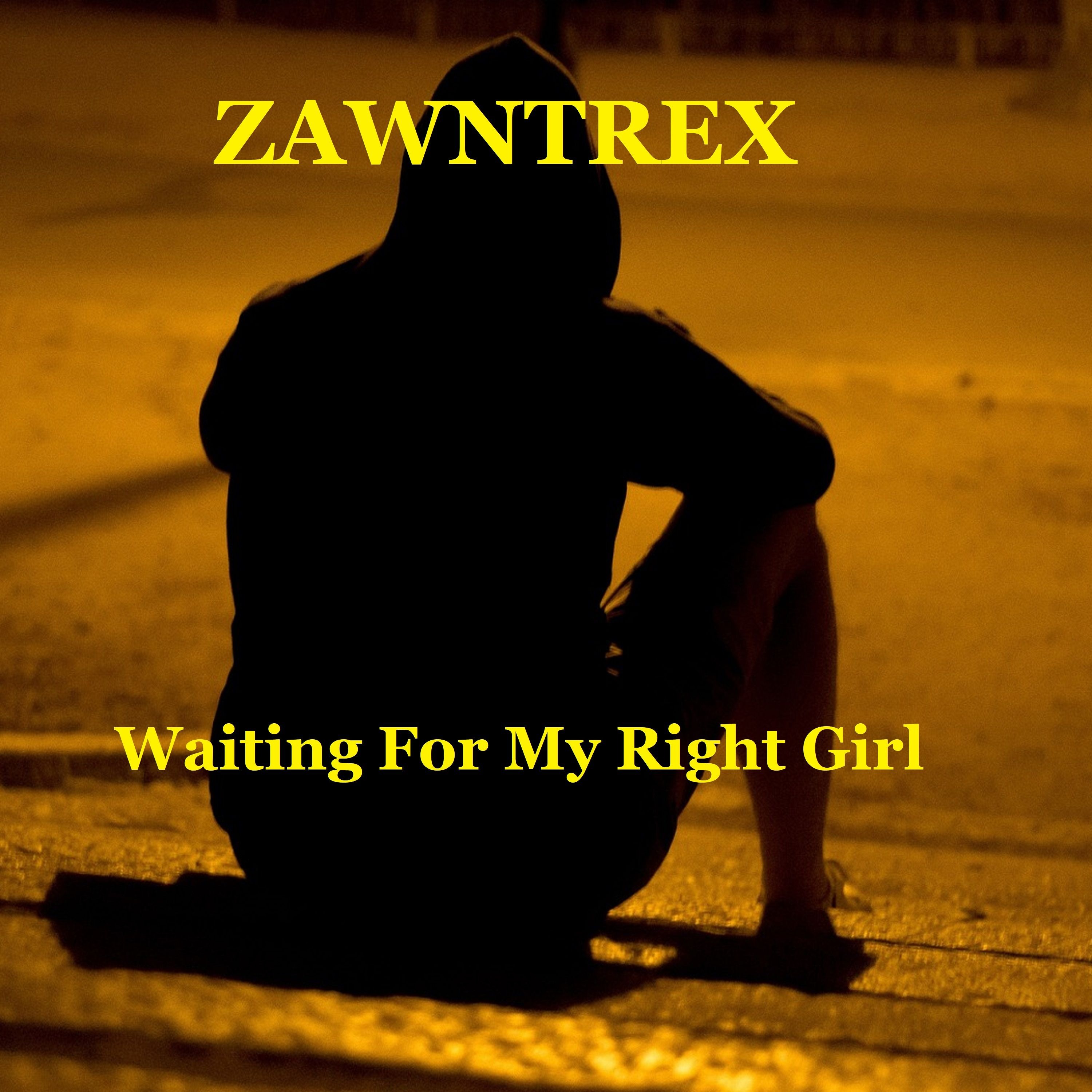 Track cover