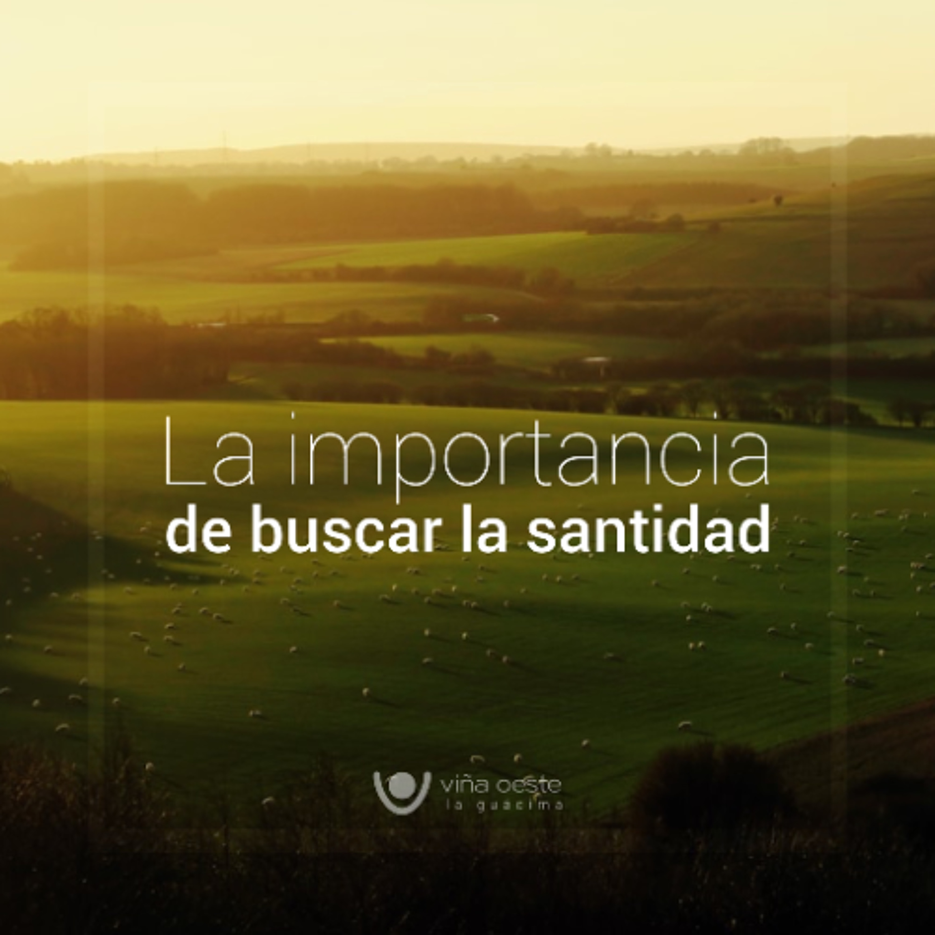15-03-2025 - La importancia de buscar la santidad - Ronald Steinvorth episode artwork