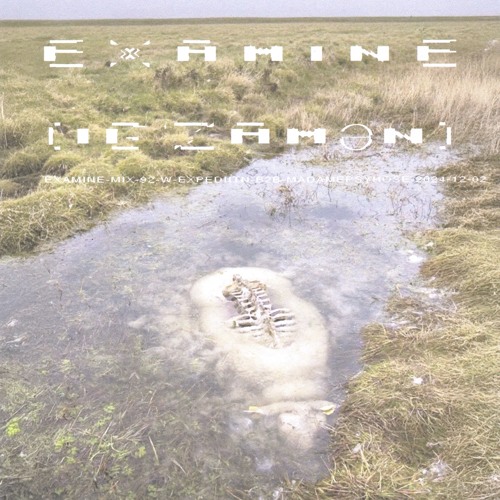 examine-mix-92-w-expediitn-b2b-madamepsyhose-2024-12-02