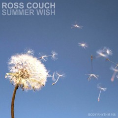 Summer Wish (Radio Edit)