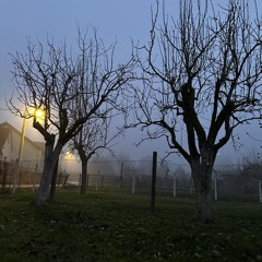 TamburaT - DarkColdAlone