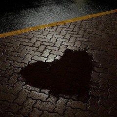 العيون تجوع لك جوع والله العظيم 😔