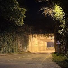 ‎⁨يعشقك⁩ - راشد الماجد