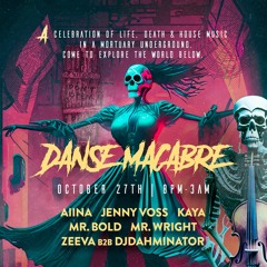 Mr. Wright Live from Danse Macabre (55 min)