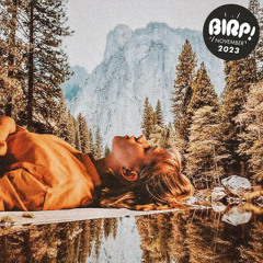 Indie Pop / Rock Playlist | BIRP! November 2023