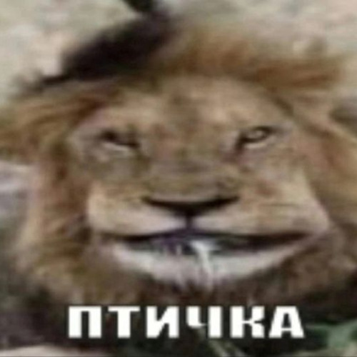 алах все члены собирает крутой трек всем советую