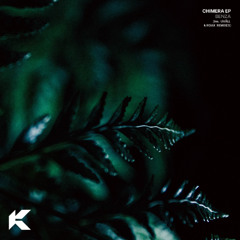 Premiere: BENZA - Fluid [KOV006]