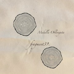 fragment39A: Medulla Oblongata