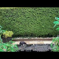 Sonny Fodera Live Stream in the Garden Round 4 ☀️🌴