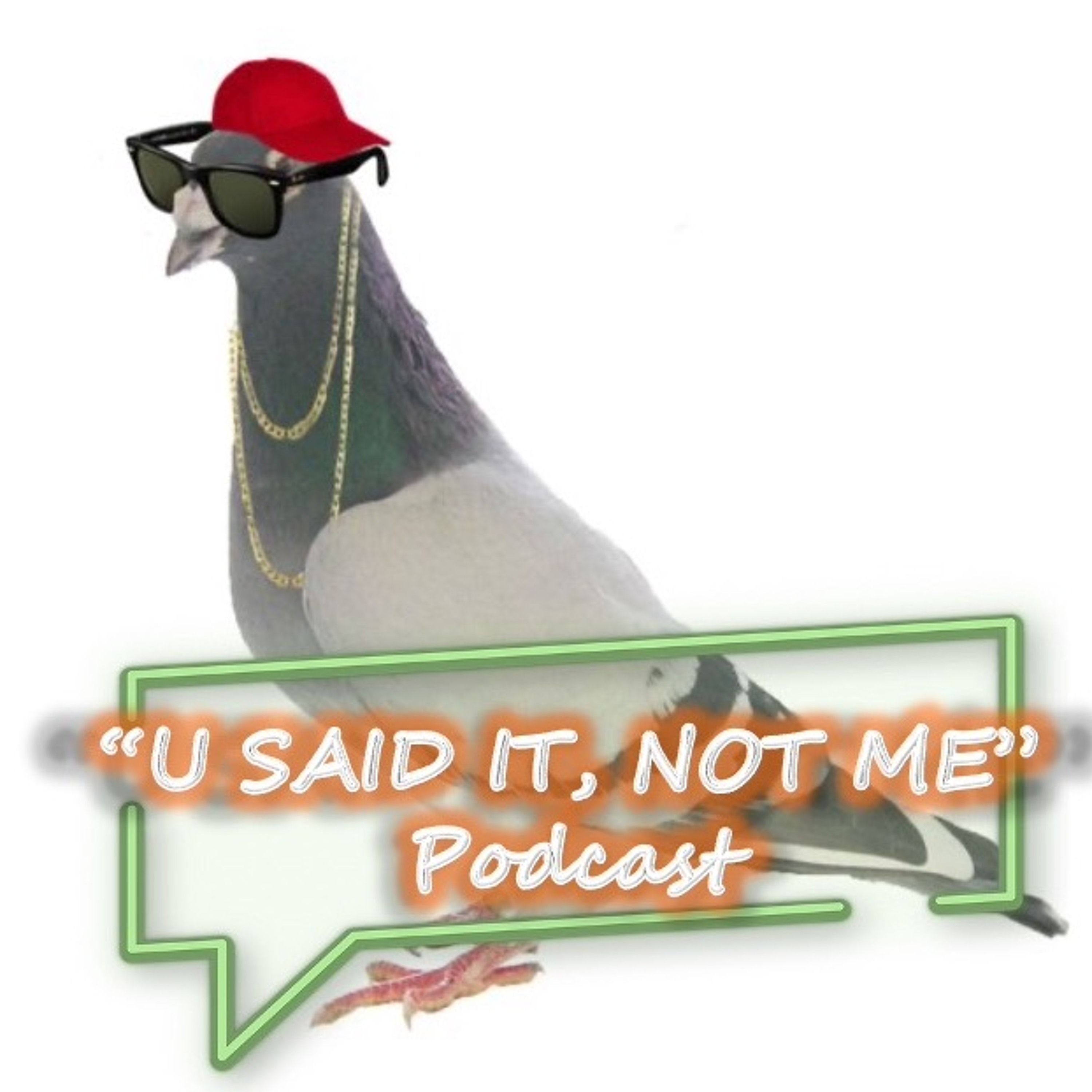 U Said It, Not Me