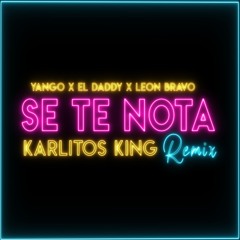 Se Te Nota (Remix)