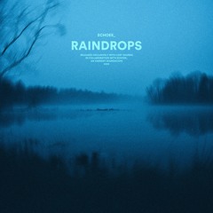 Echoes_ - raindrops [Lost Sounds Release]