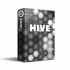 (Open) Hive - Indoor Percussion Show