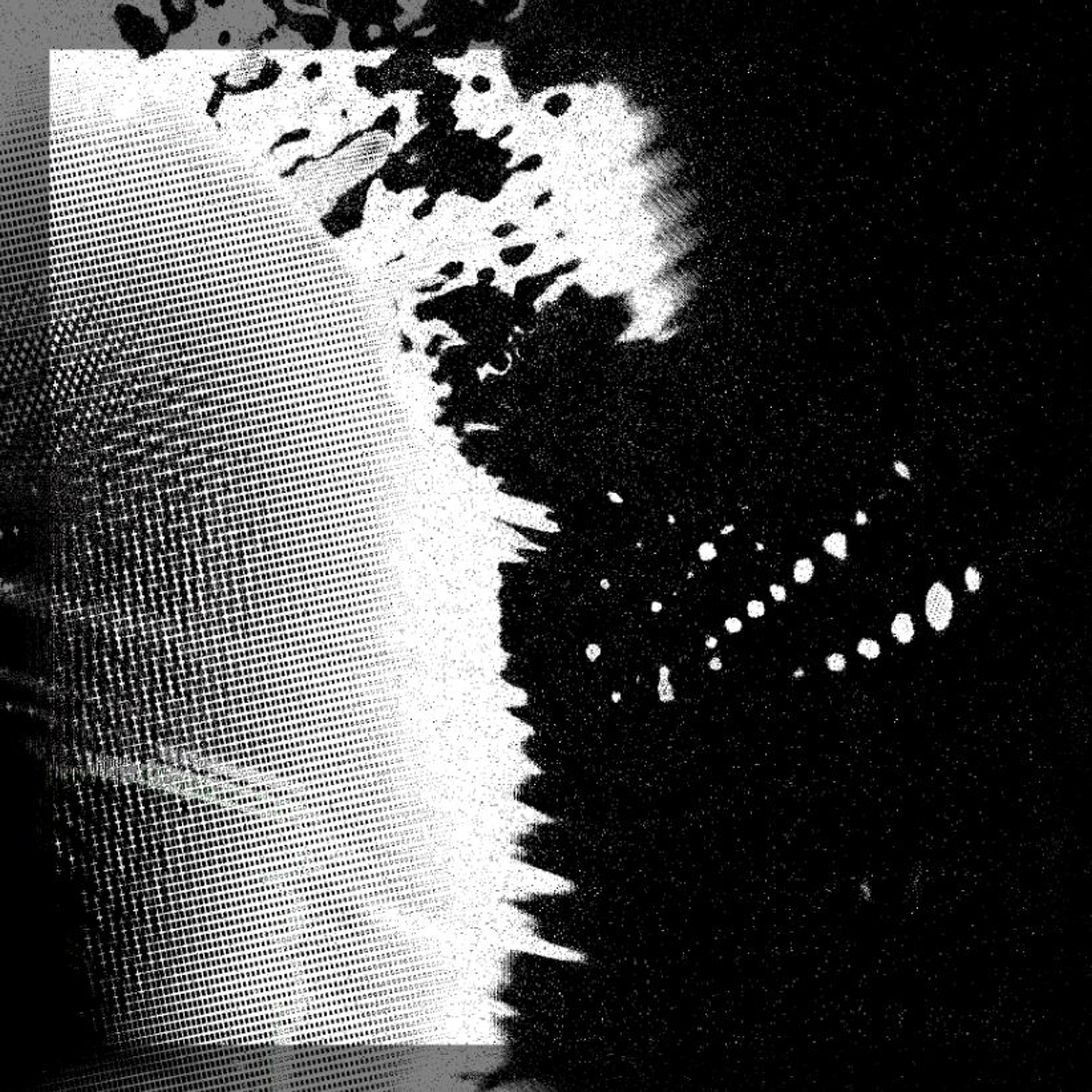 Beats in the Woods '24 wkndr / friday night / techno set episode artwork