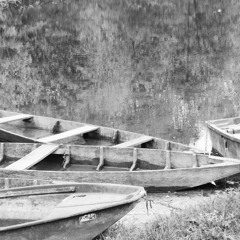 RÉPUBLIQUE ELLES NOUS NIKE!!!!