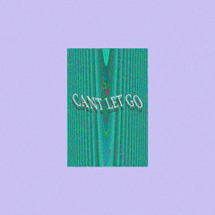Indigo Waves - Can't Let Go