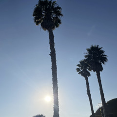 Everybody Loves the Sunshine!