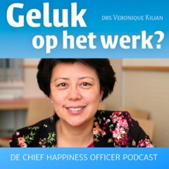 Riksja Travel teamcoaching bij zelforganisatie met werkgeluk door Leontien Harsma #11