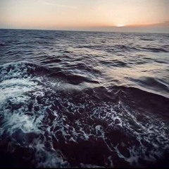 Vì Một Chữ Tình-Thái Học 😶‍🌫️