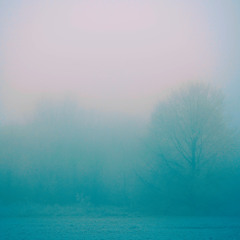 wlr198 Various Artists - Sleeplaboratory6.0