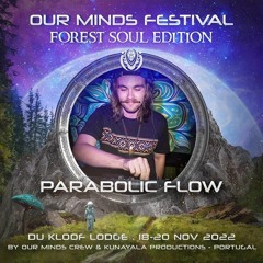 Parabolic Flow Our Minds Festival 2022