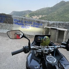 rlk